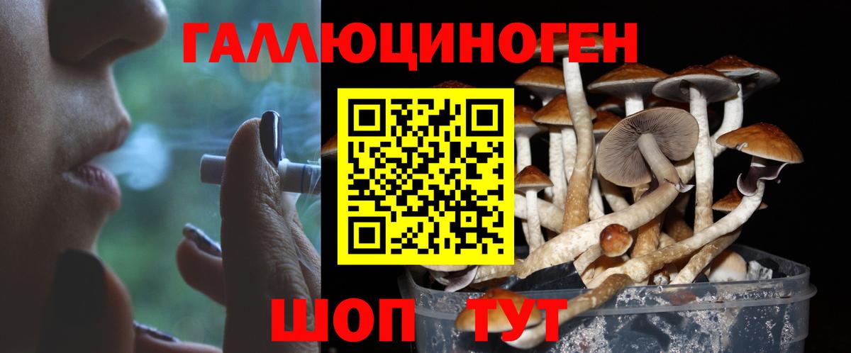 Братск  Галлюциногенные грибы мухоморы  Вход с VPN 